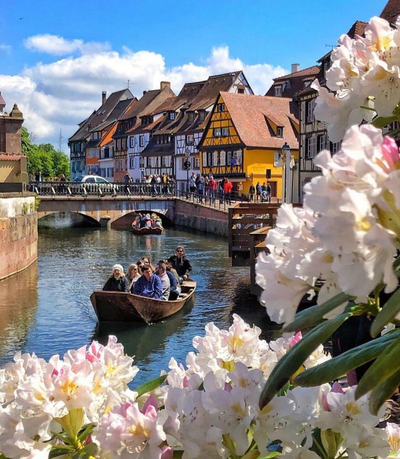 Djokovic'S Apartment Colmar Exterior photo